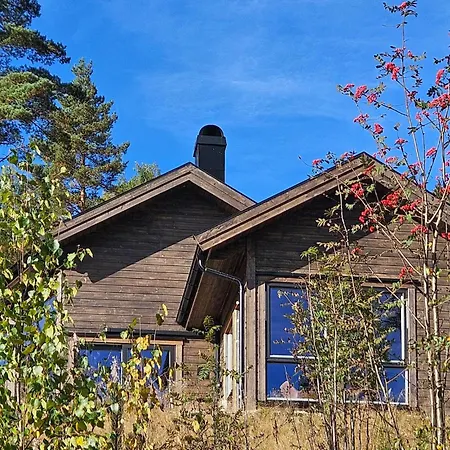 Amazing In With Wifi *